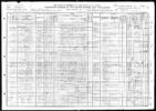 1910 Census