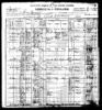 1900 Census